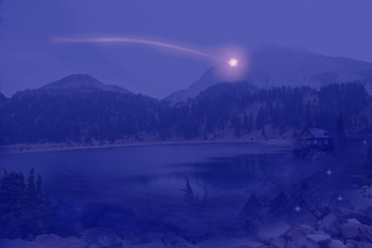 The Search for Golden Dolphin